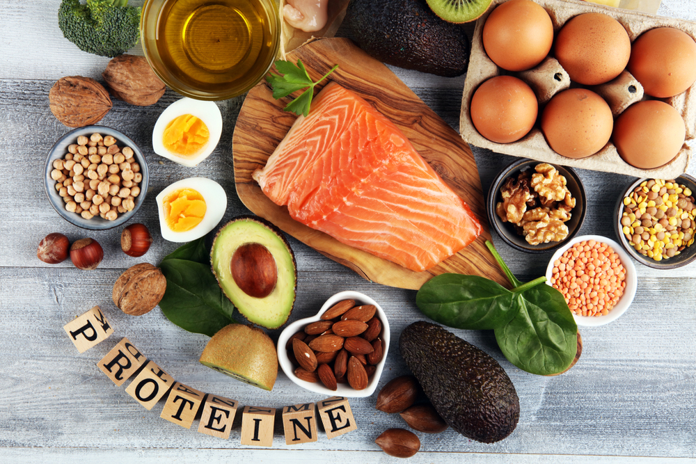 Les différentes proteines dans les aliments