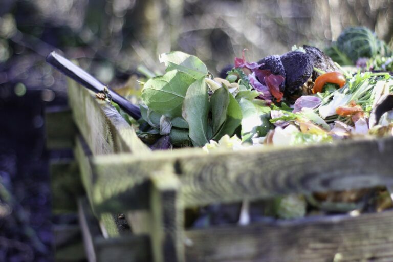 Palettes de bois : la solution pour un compost durable.
