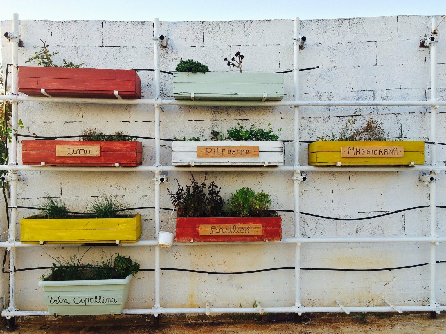 Construire une jardinière en bois, les 7 étapes importantes - Les Menus