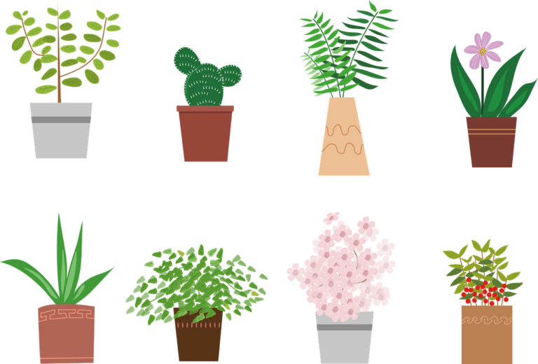 dessin pot de fleurs