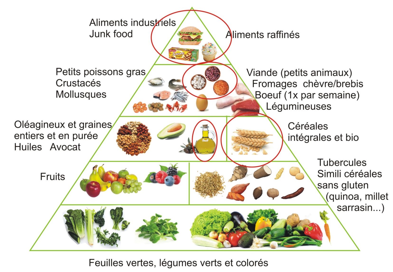L'assiette végétale : une alimentation durable. - Les Menus Services