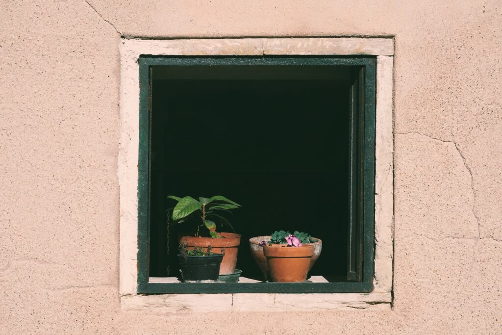 pot de fleurs et fenetre, astuce contre la canicule