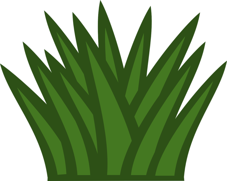 Buisson