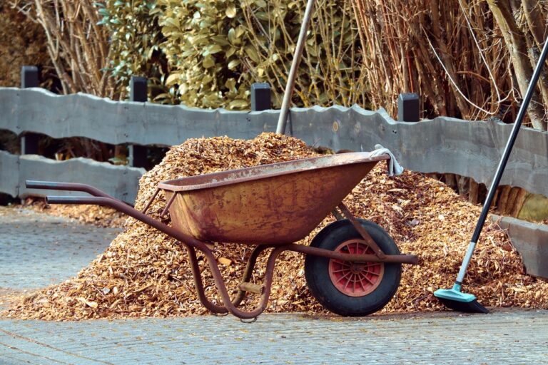 Préparer et nourrir son sol avant l’hiver