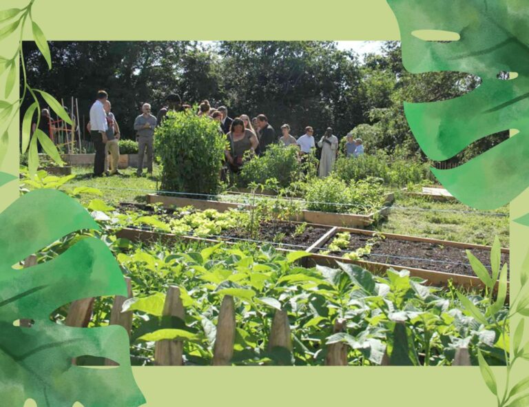 Les jardins partagés.