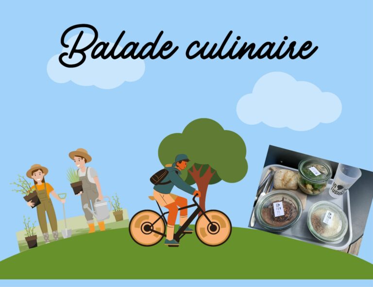 Balade culinaire : du potager à l’assiette.