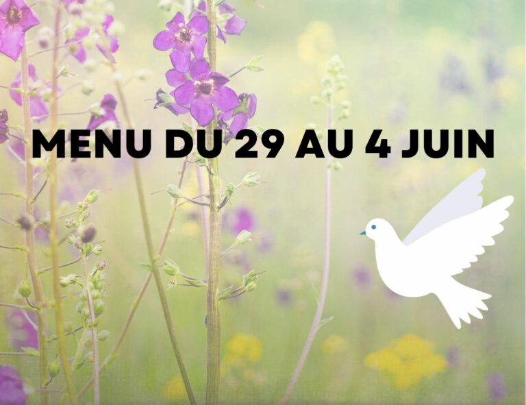 Repas variés du 29 au 4 juin 2023.