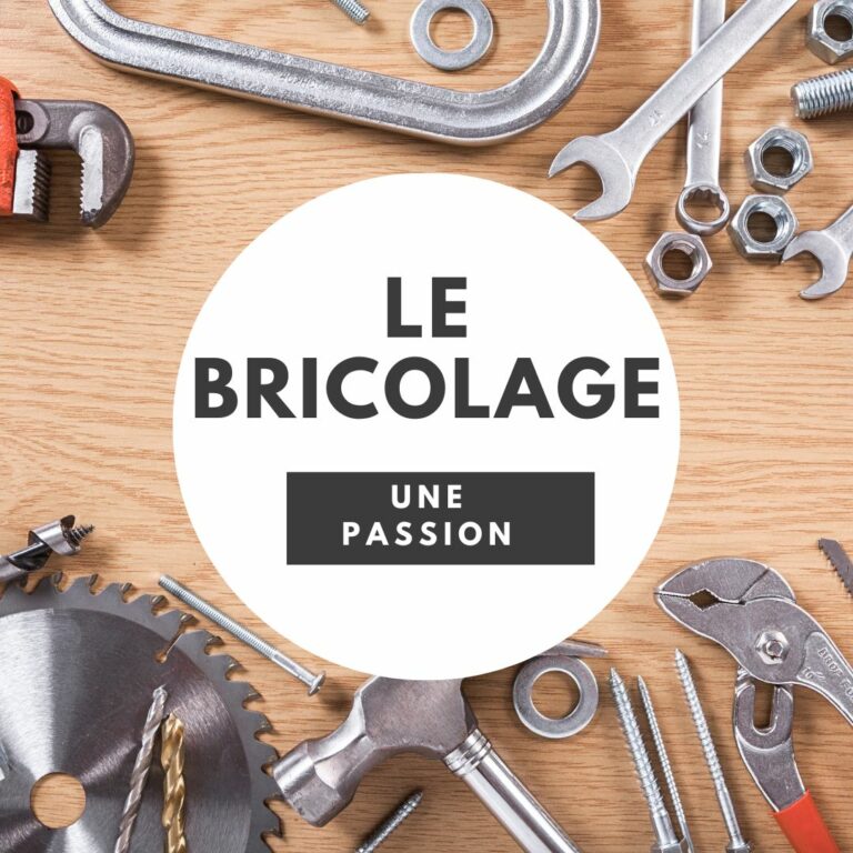 La passion des français pour le bricolage.