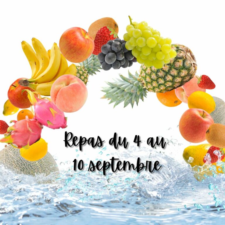 Repas variés du 4 au 10 septembre 2023.