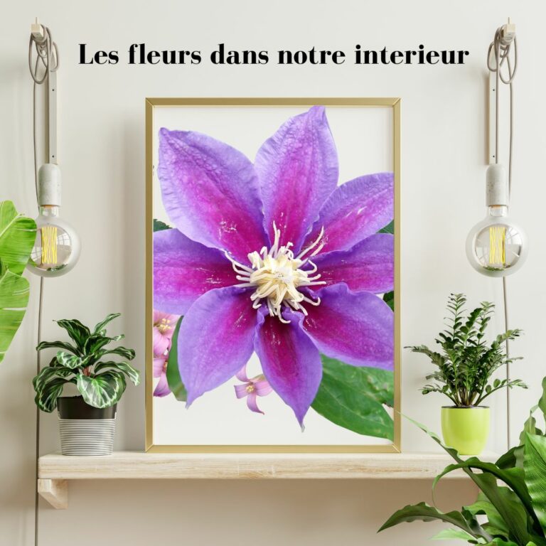 Tableau fleuri et mis en avant des fleurs dans notre décoration intérieure