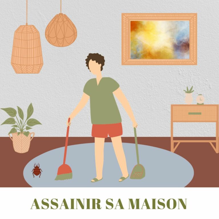 Assainir sa maison après les punaises de lit.