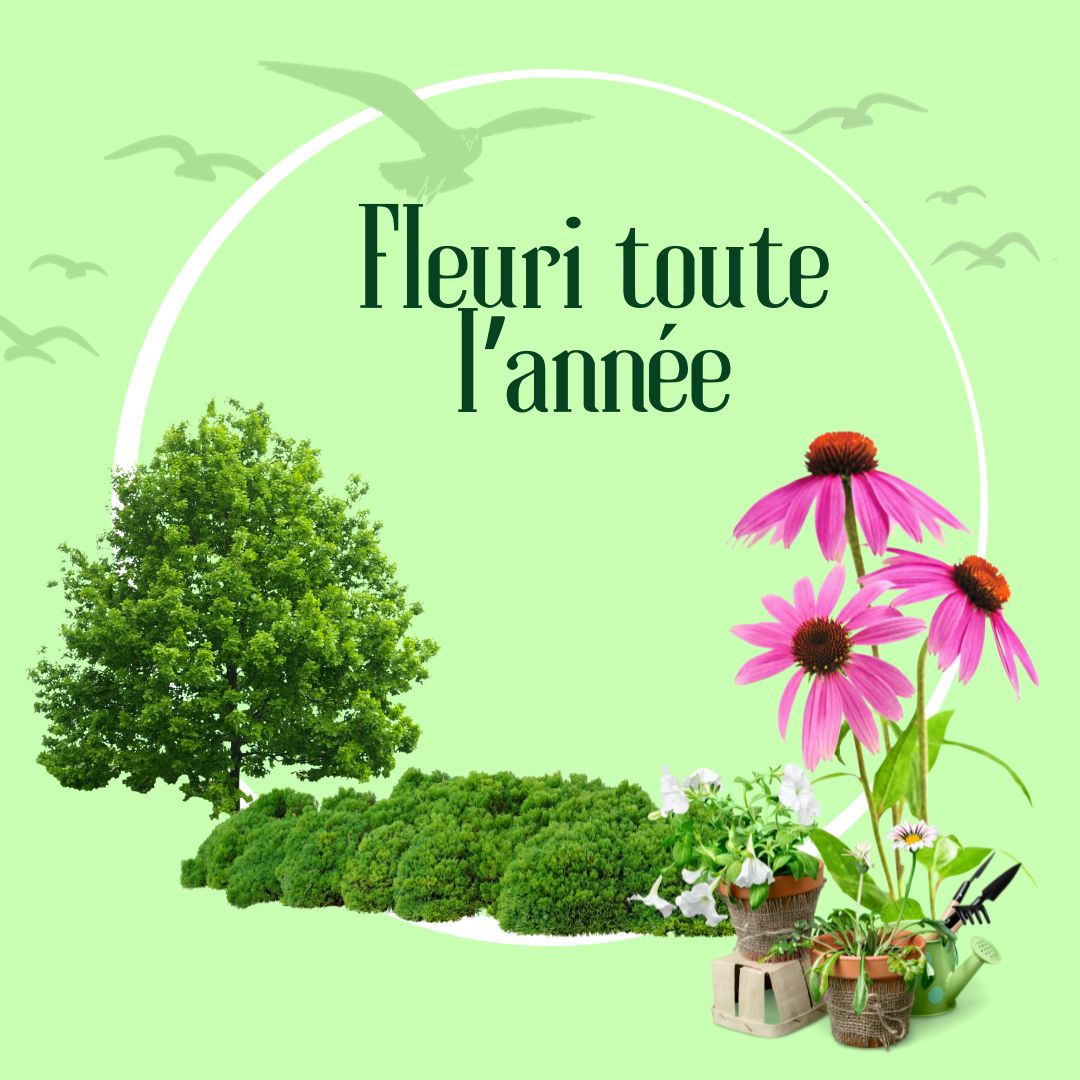 Idée de plantes pour avoir son jardin fleuri toute l'année