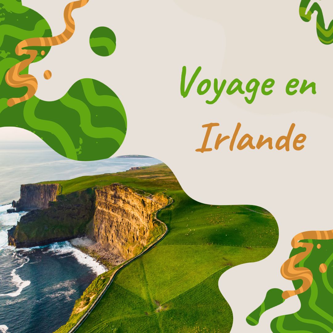 Menu à thème aux menus services : voyage en Irlande