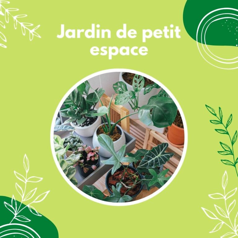 Concevoir un jardin de petit espace.