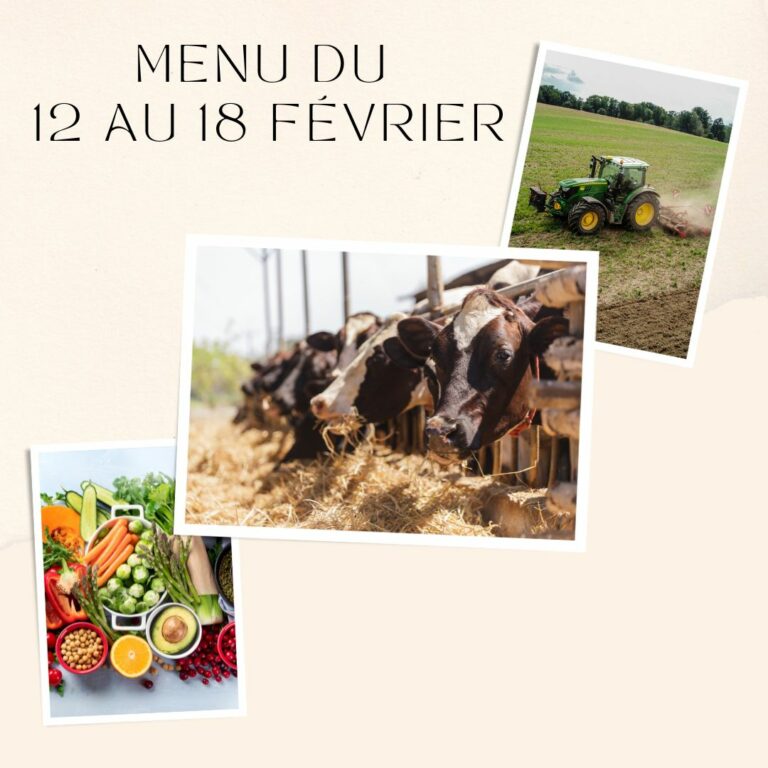 Repas savoureux du 19 au 25 février 2024.