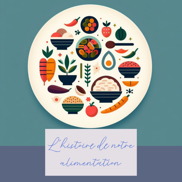Assiette avec différents aliments depuis leurs découvertes