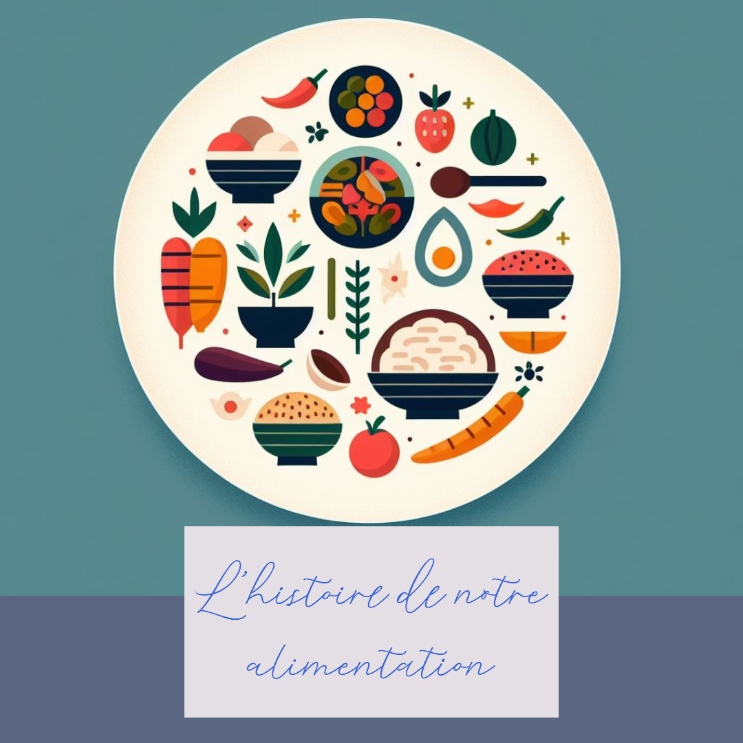 Assiette avec différents aliments depuis leurs découvertes