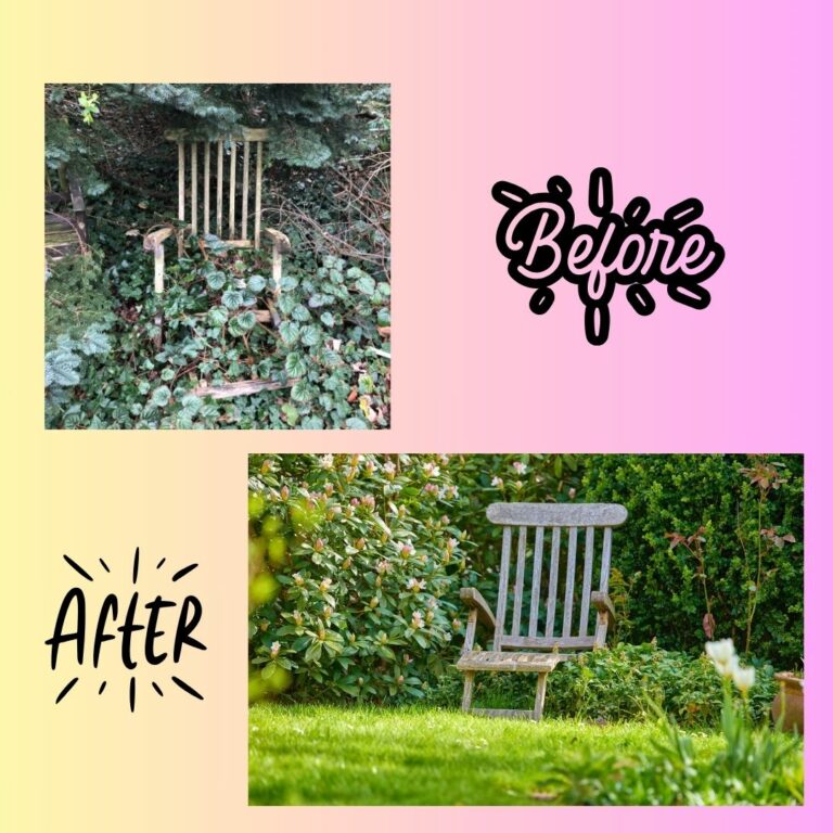 Avant/après de faire revivre un jardin négligé