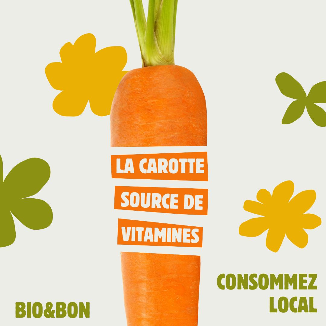Gros plan sur un légume pour manger local et sainement