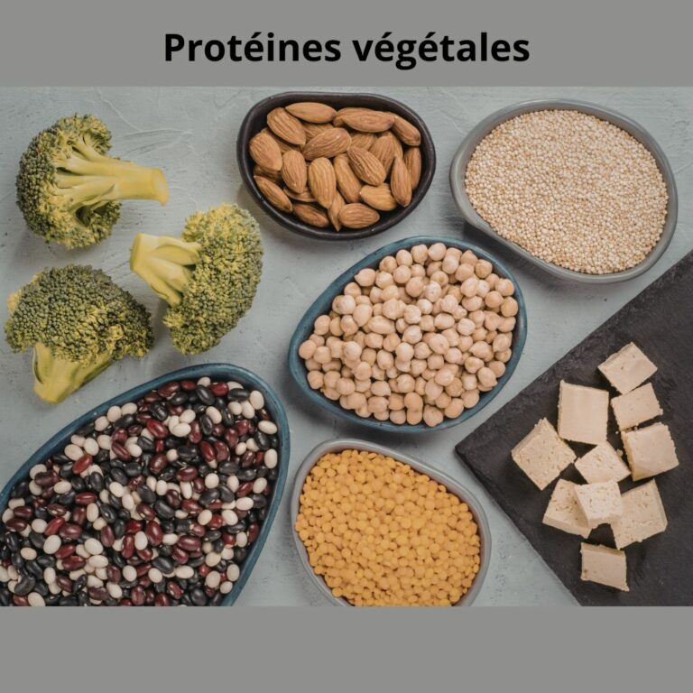 Protéines végétales disposées dans des bols sur un fond gris. On y voit : Légumineuses : Pois chiches, lentilles corail, et un mélange de haricots secs. Oléagineux et céréales : Amandes et quinoa. Légumes et dérivés : Têtes de brocoli frais et cubes de tofu ferme.